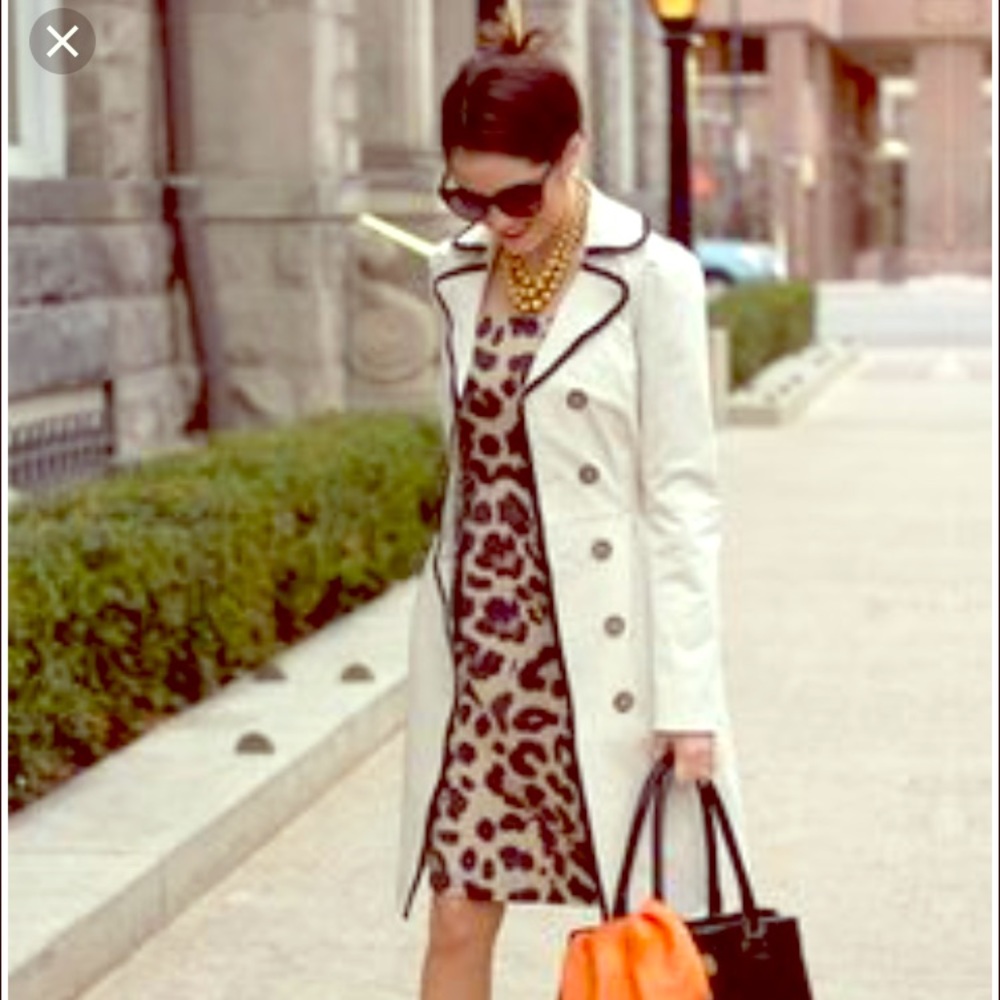 Banana Republic leopard print sheath dress